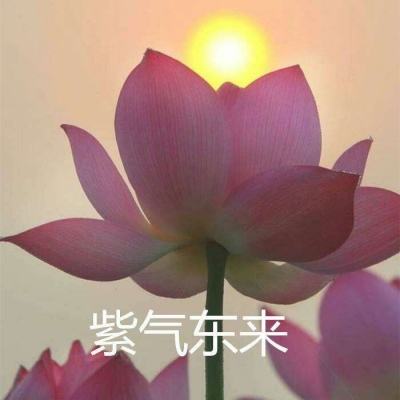 和平精英低配手机版下载